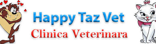 Happy Taz Vet